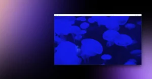 02-虛擬主機承租