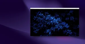 09-1-子佈景主題