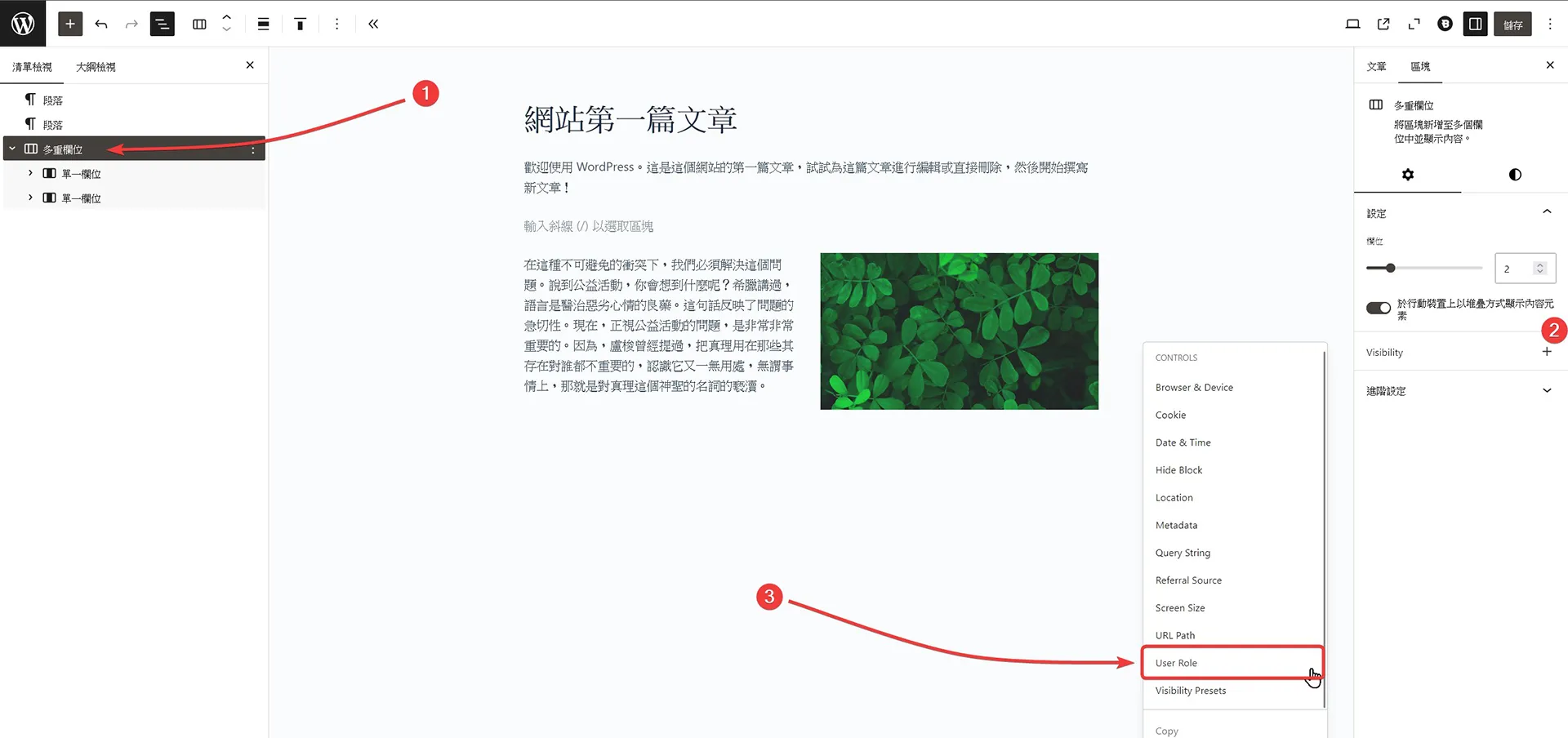 Visibility + 選單,接著選擇 User Role。